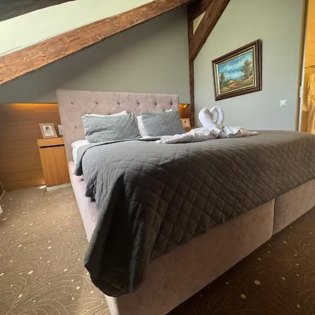 酒店 Bern Boutique By Rikas 塔林